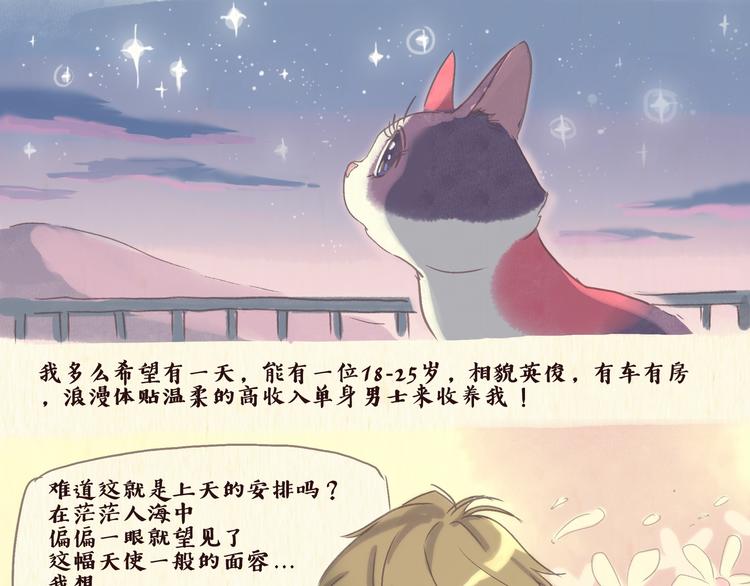 《一滩猫与一根猫》流浪猫（下） 第1页