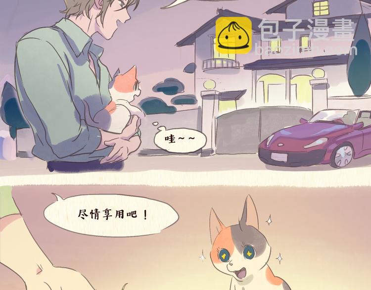 《一滩猫与一根猫》流浪猫（下） 第3页