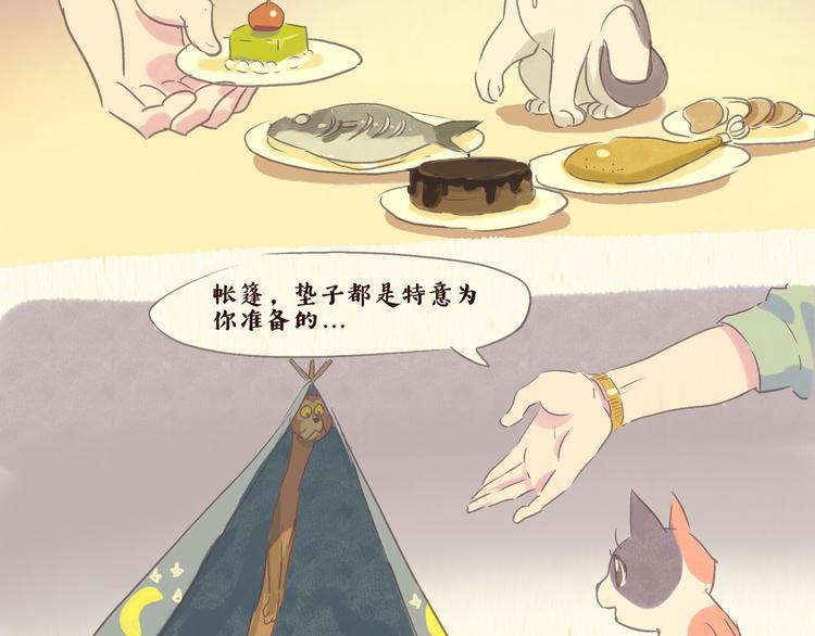 《一滩猫与一根猫》流浪猫（下） 第4页