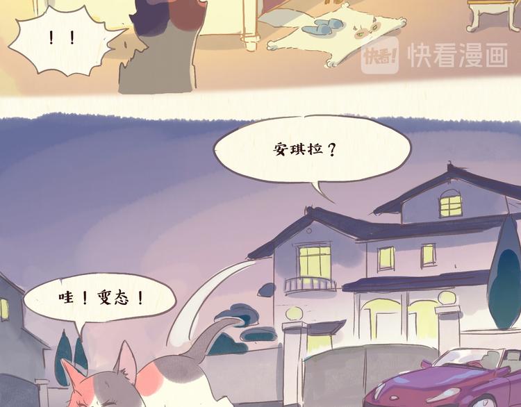 《一滩猫与一根猫》流浪猫（下） 第6页