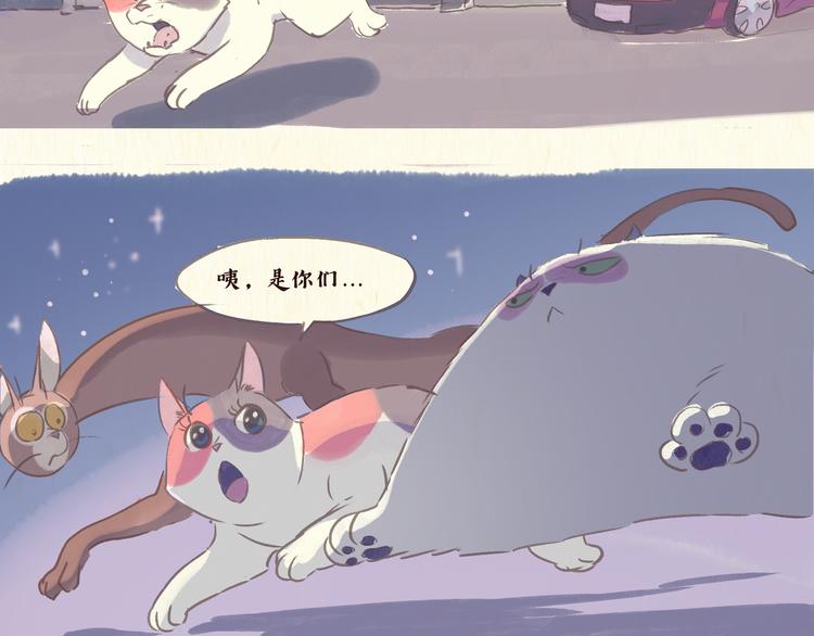 《一滩猫与一根猫》流浪猫（下） 第7页
