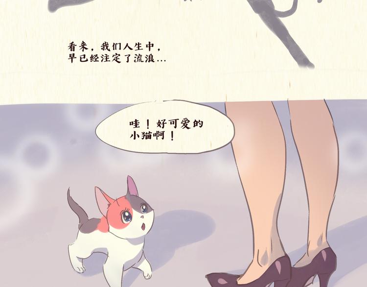 《一滩猫与一根猫》流浪猫（下） 第9页