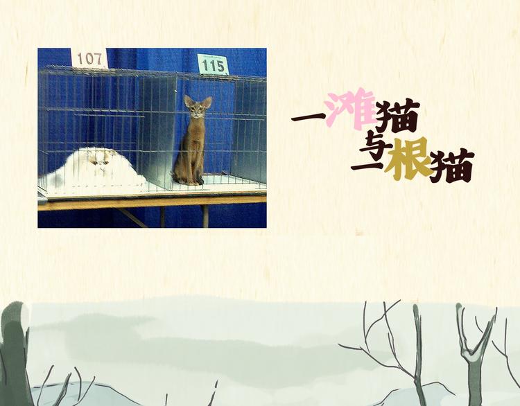 《一滩猫与一根猫》怪老头（上） 第1页