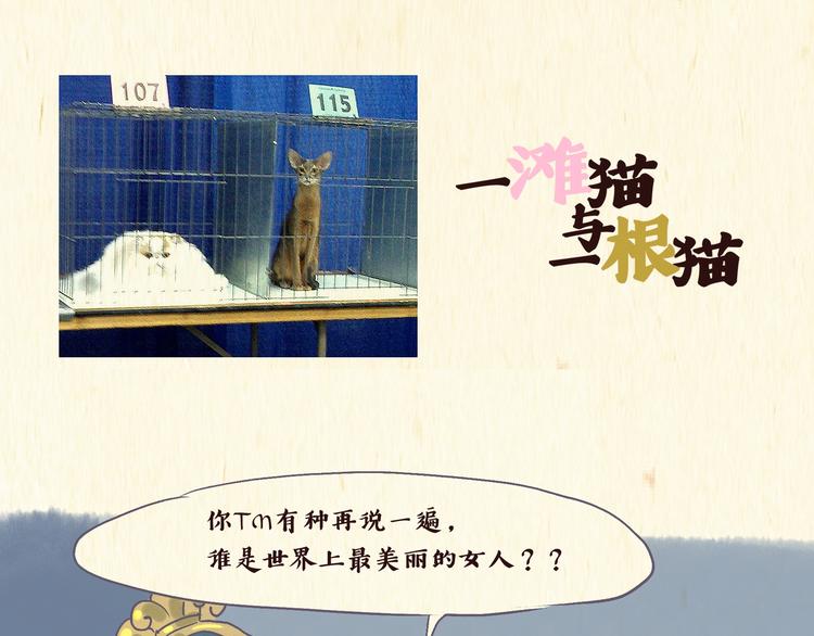 《一滩猫与一根猫》魔镜（上） 第1页
