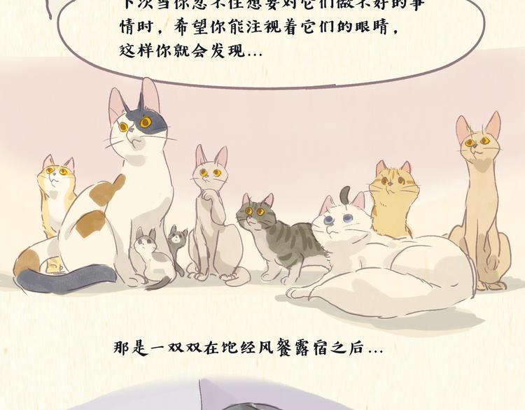 《一滩猫与一根猫》健身房（下） 第17页