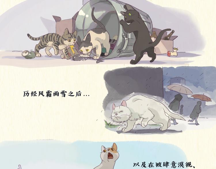 《一滩猫与一根猫》健身房（下） 第18页