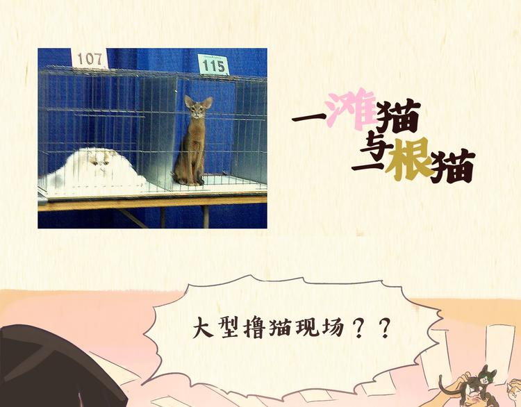 《一滩猫与一根猫》健身房（下） 第1页