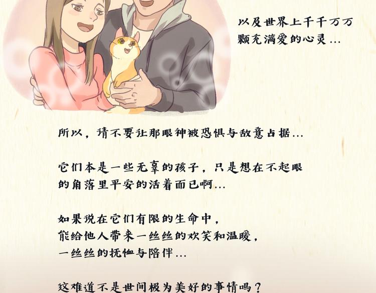 《一滩猫与一根猫》健身房（下） 第21页