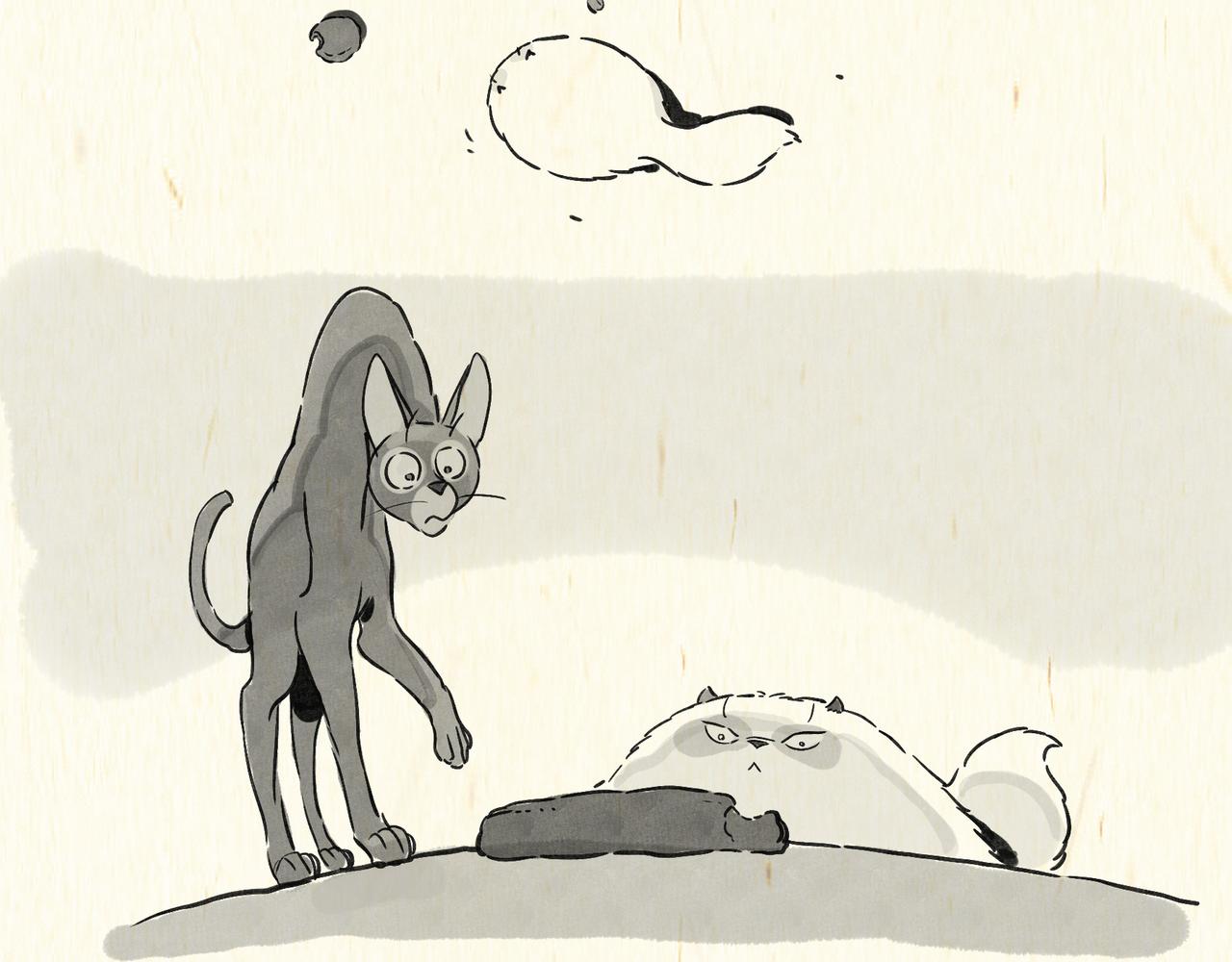 《一滩猫与一根猫》垃圾袋（1） 第12页