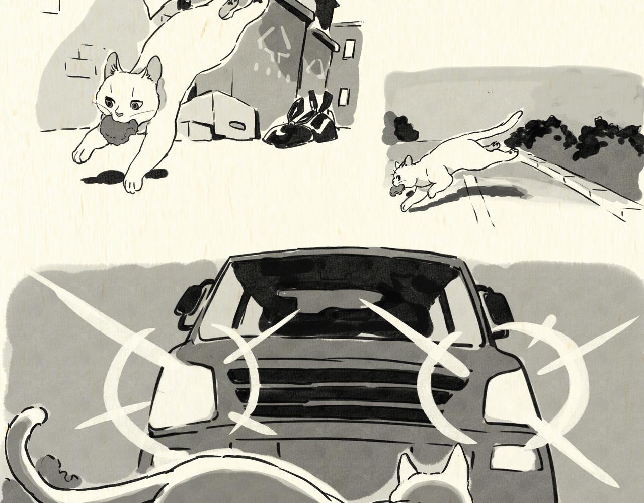 《一滩猫与一根猫》垃圾袋（1） 第4页