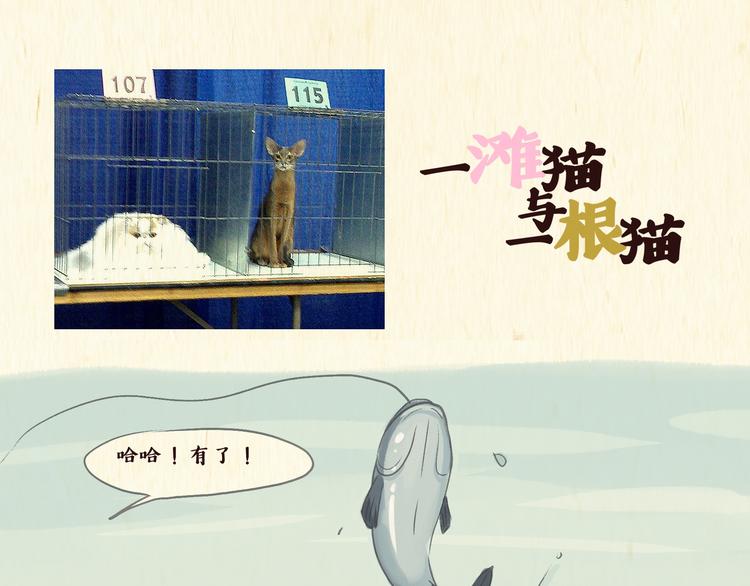 《一滩猫与一根猫》怪老头（下）01 第1页