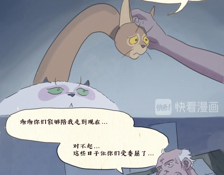 《一滩猫与一根猫》怪老头（终） 第7页