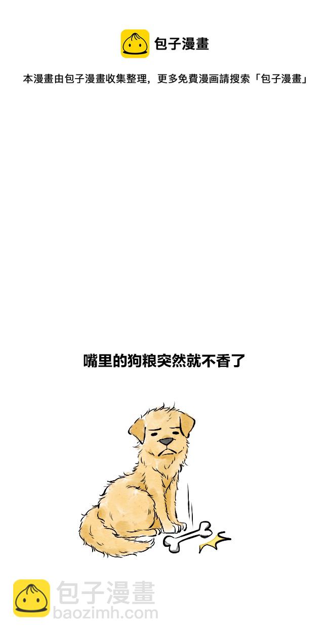 《这是为你画的》三月06 第13页