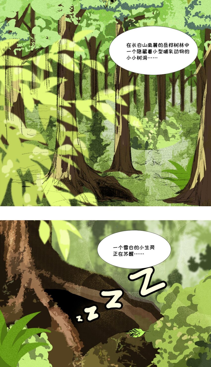 《乌拉乌拉刁小禾》01 小貂出世 第4页