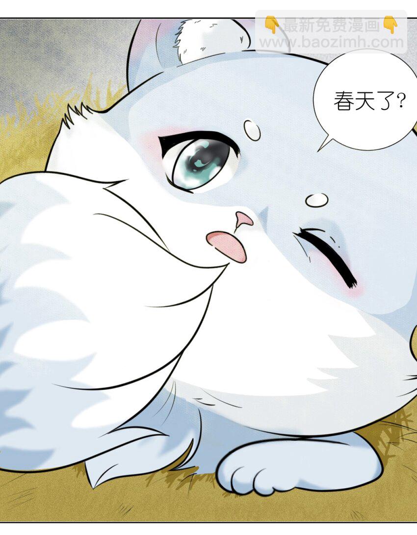 《乌拉乌拉刁小禾》01 小貂出世 第6页