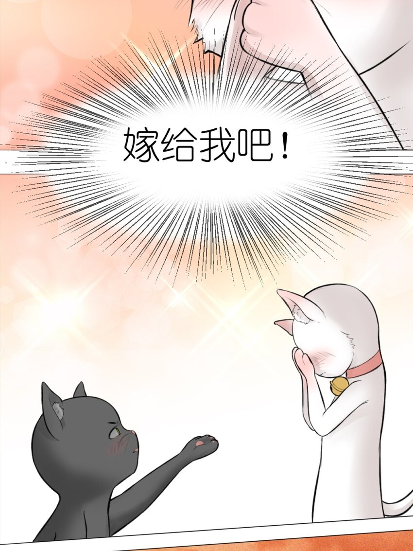 《乌拉乌拉刁小禾》13 我摊牌了 第20页