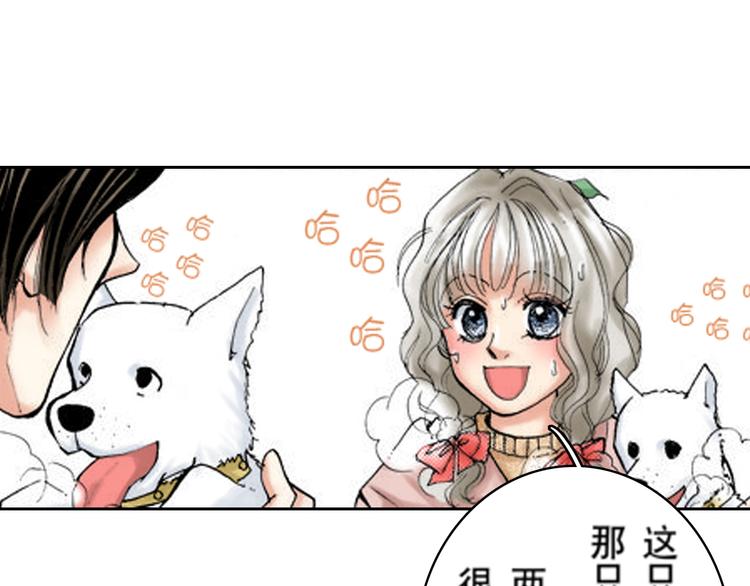 《爱上我的伯爵夫人》第3话 第13页