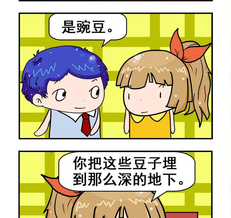 《整容》19 种豌豆 第2页