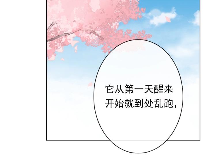 《论我在异世界·成为女王》第12话 结界 第42页