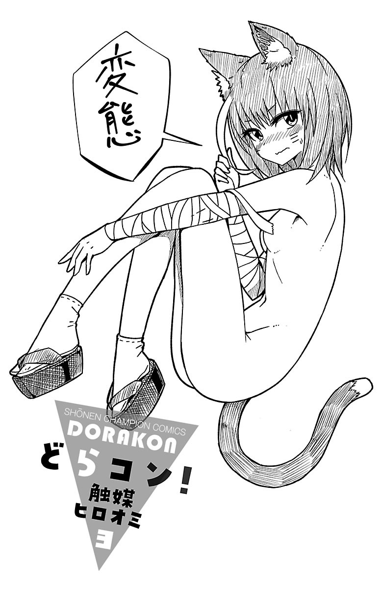 《龙争狐斗》3卷特典 第11页