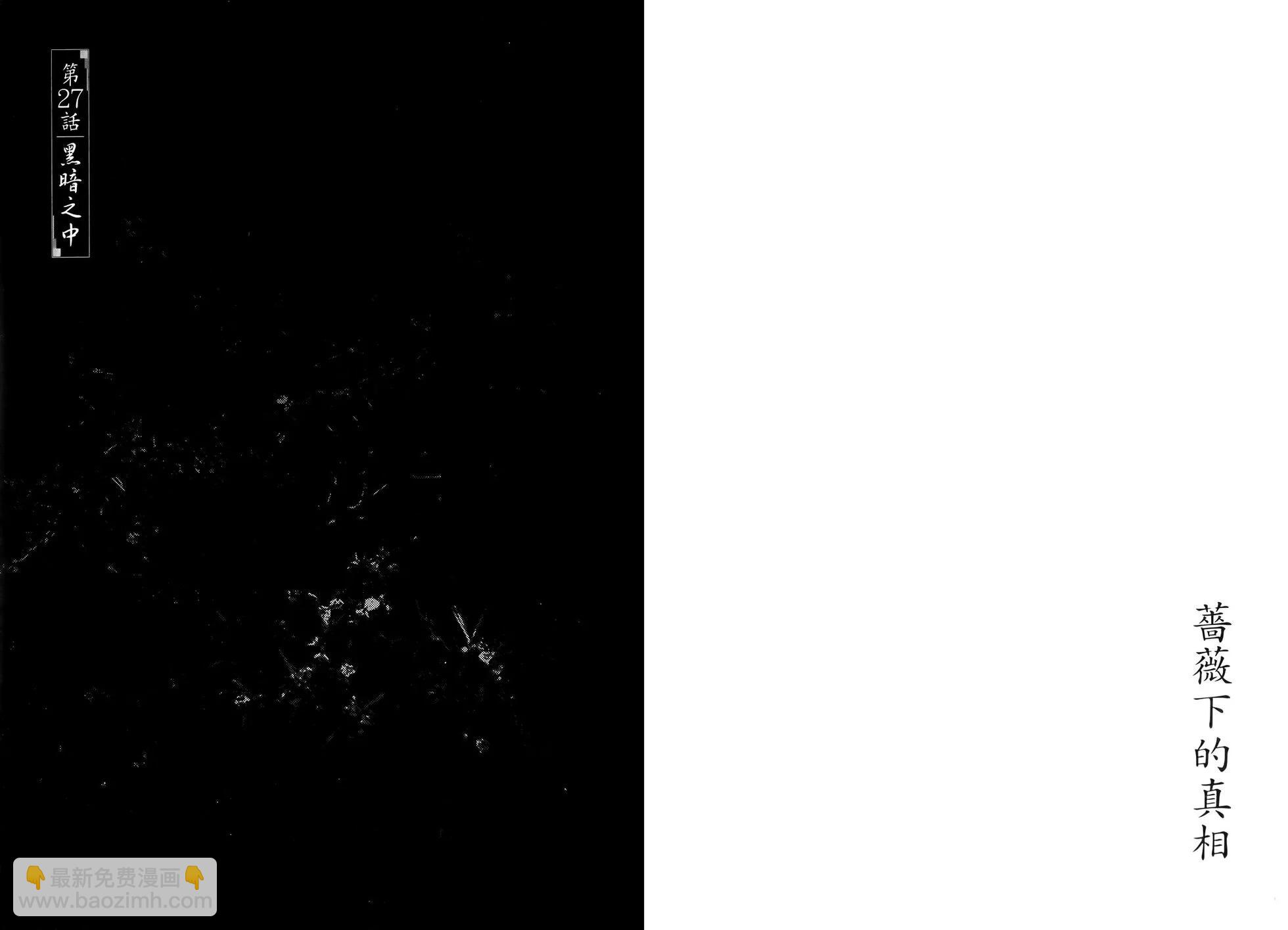 《蔷薇下的真相》第09卷 第42页