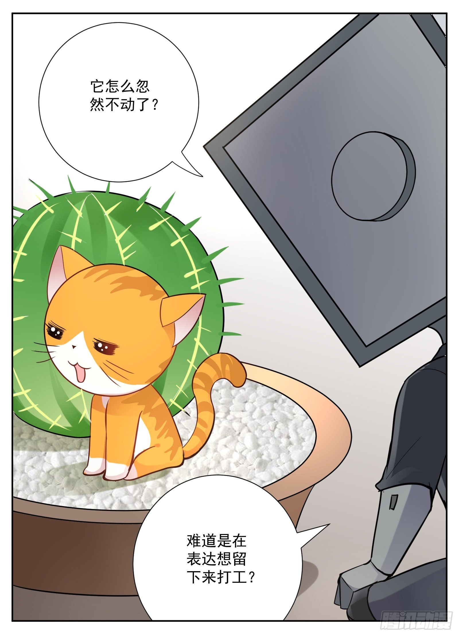 《副本歌手短内容》猫咪 第28页