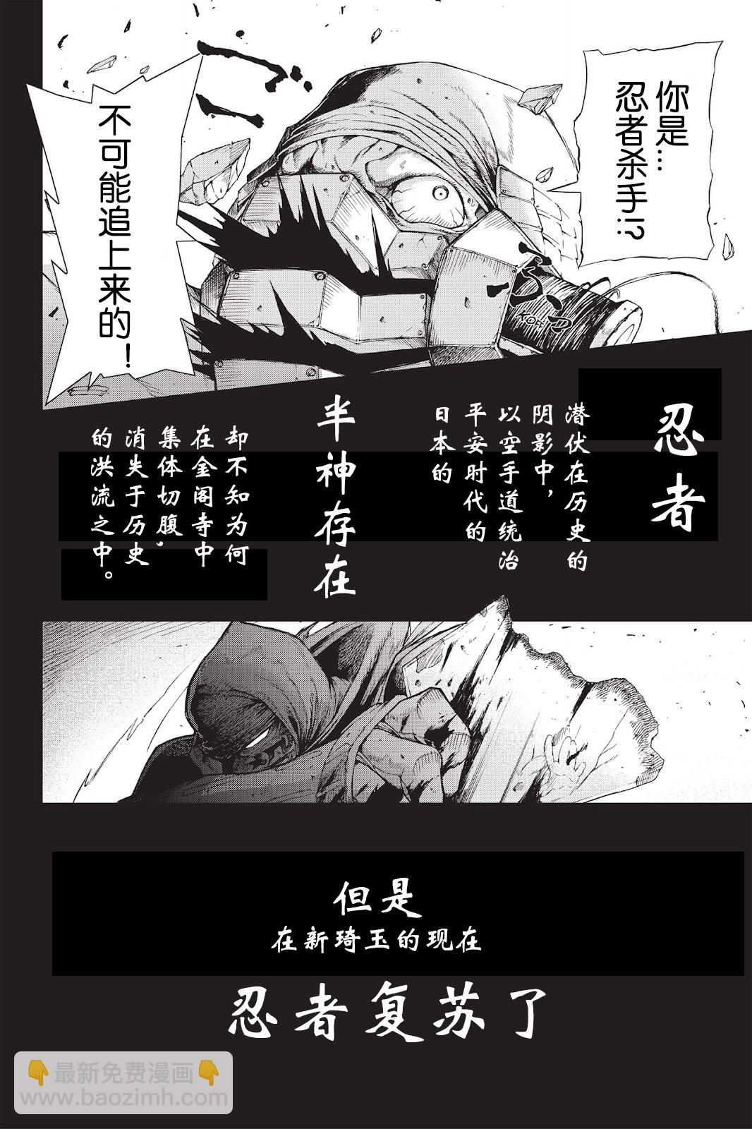 《忍者杀手 KILLS》Zero Tolerant Sansui *2 第4页