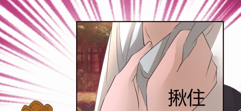《嫡女很忙王爷娶我请排队》第21话 沈晚煺出 第29页