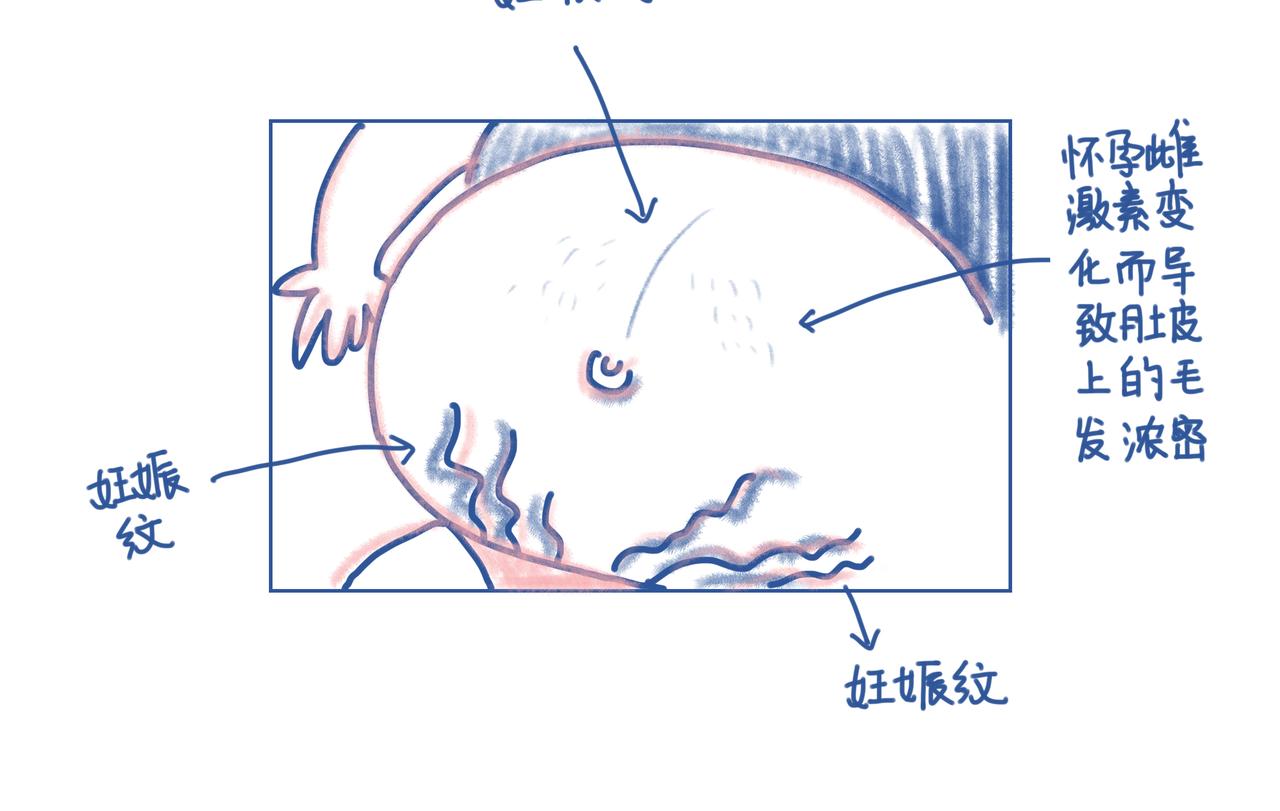 《Emily的怀孕记事》宝贝留级，可怕的妊娠纹！ 第8页