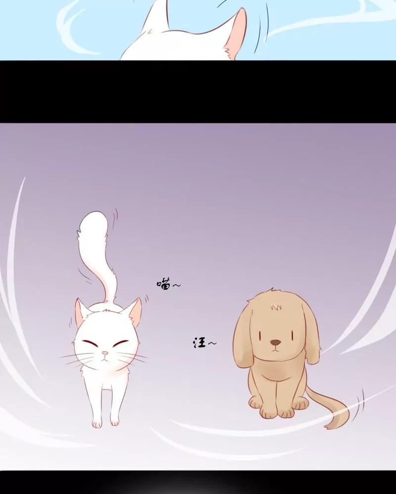 《神念少女》第34话 第31页
