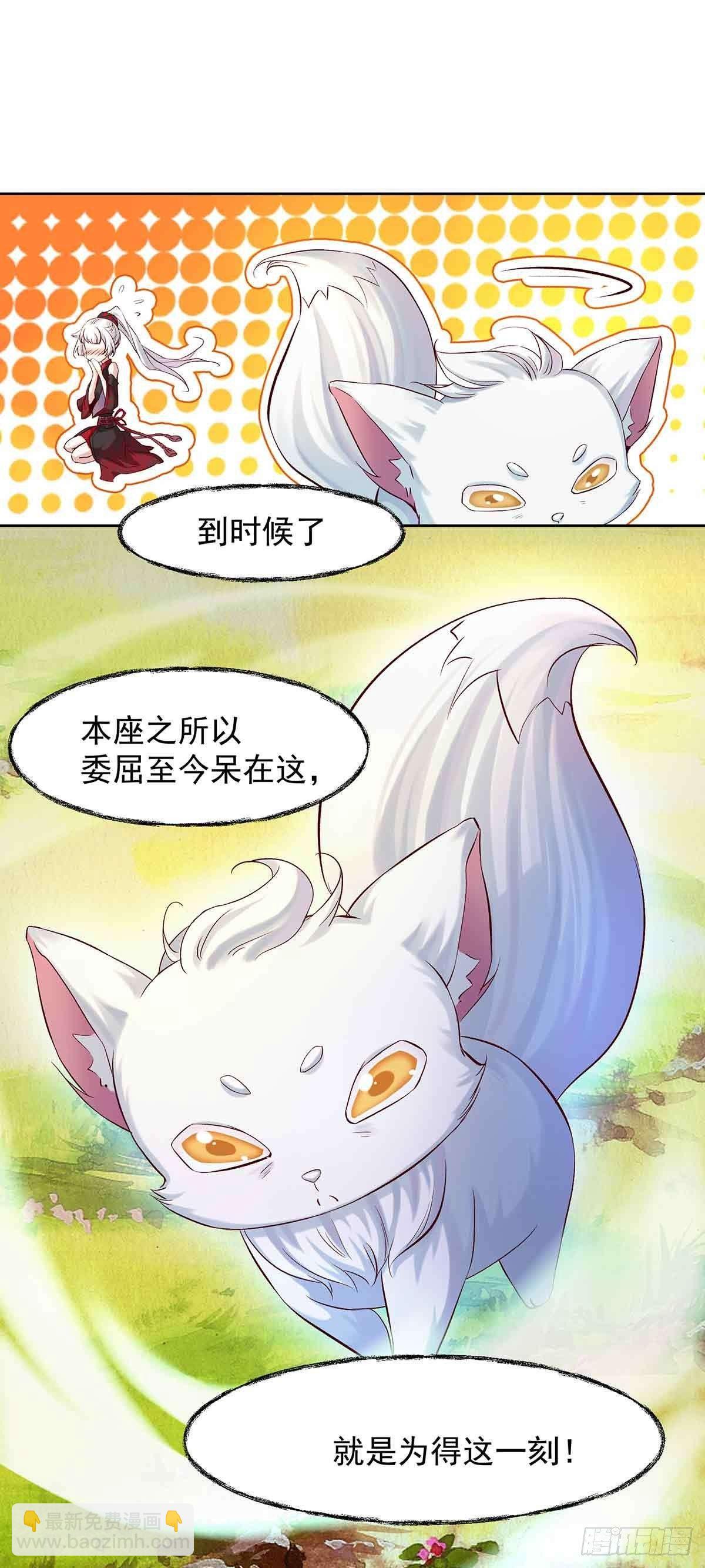 《冥帝独宠阴阳妃》妖狐化形 第8页