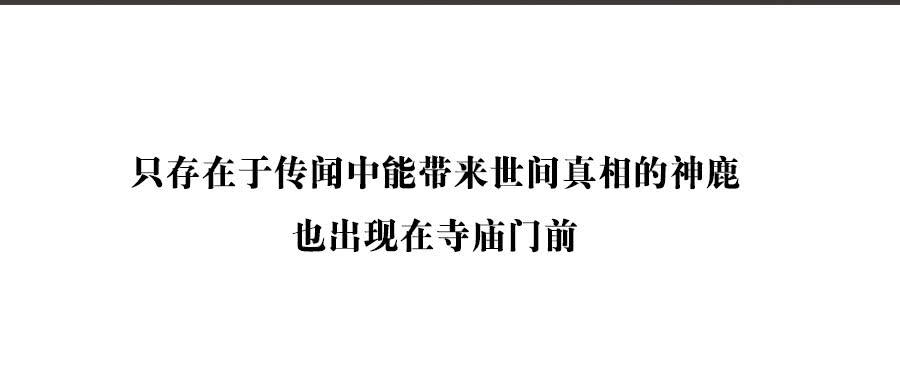 《百晓生袁七七》预告！ 第19页
