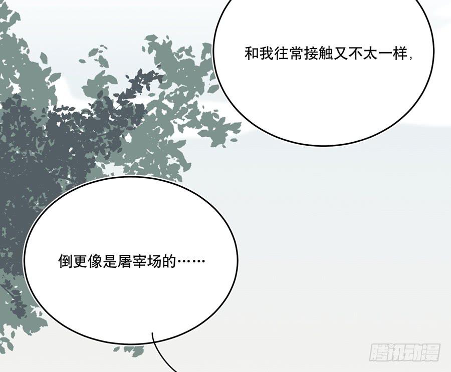 《百晓生袁七七》棺中人（8） 第21页