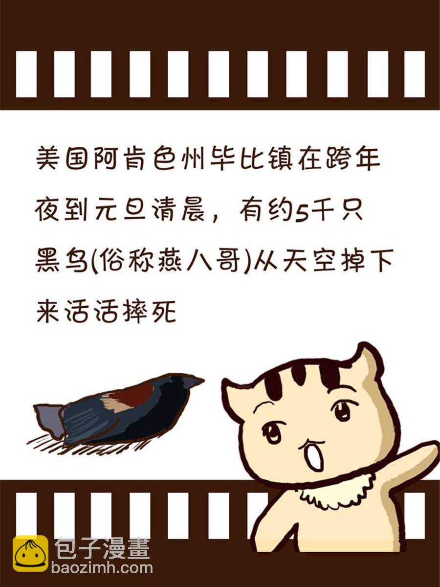 《回顾2012迎向2013》回顾2012迎向2013 第1集 第15页