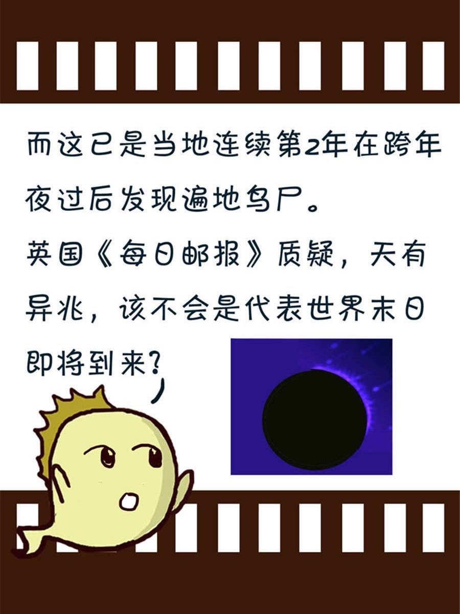 《回顾2012迎向2013》回顾2012迎向2013 第1集 第16页