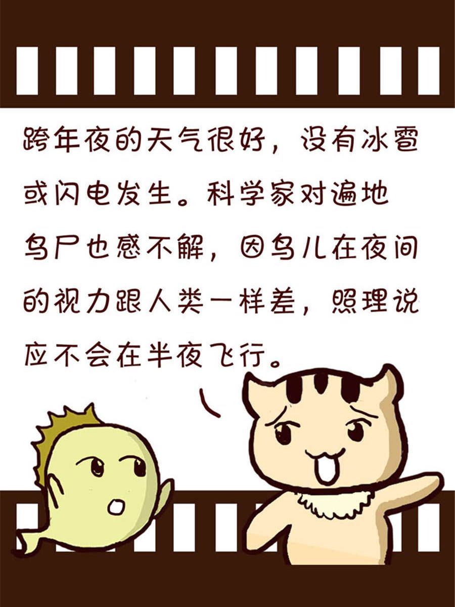 《回顾2012迎向2013》回顾2012迎向2013 第1集 第17页