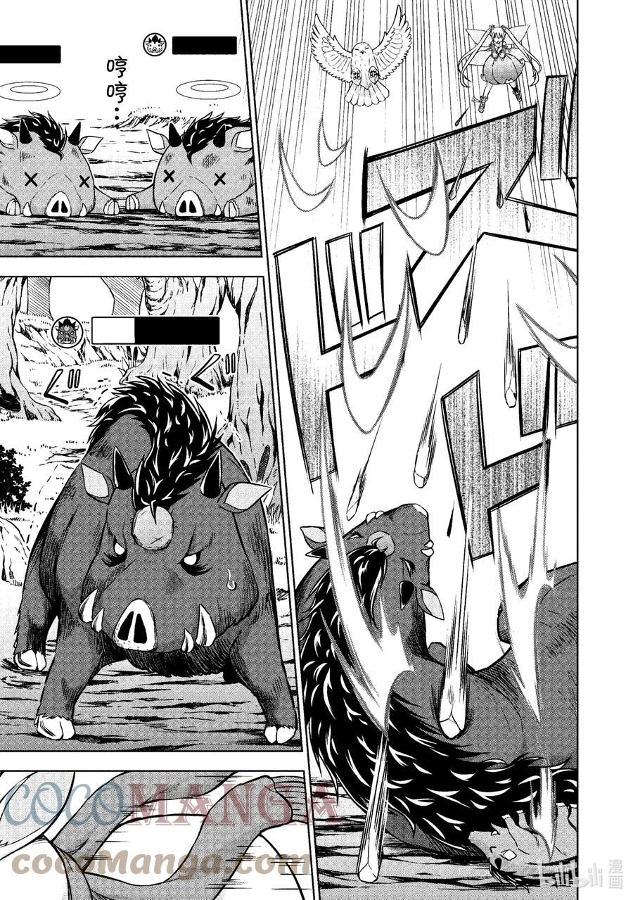 《在VRMMO中当起了召唤士》19 召唤士进行狩猎！ 第17页