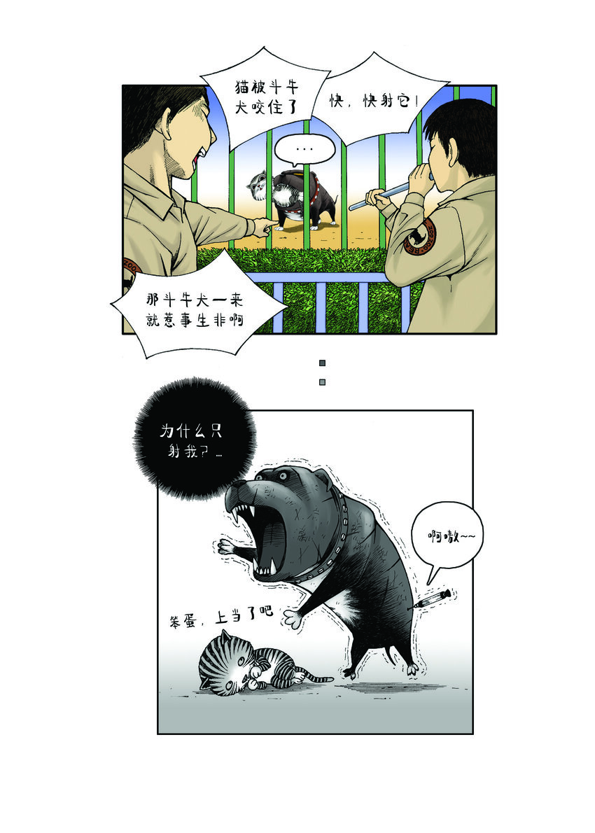 《动物园真相》第一季 第14集 以智取胜 第11页