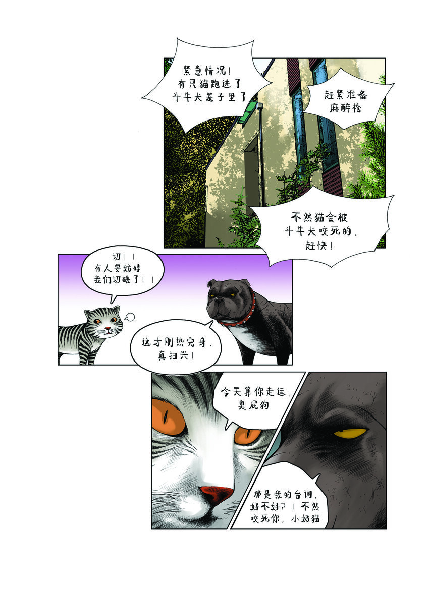 《动物园真相》第一季 第14集 以智取胜 第9页