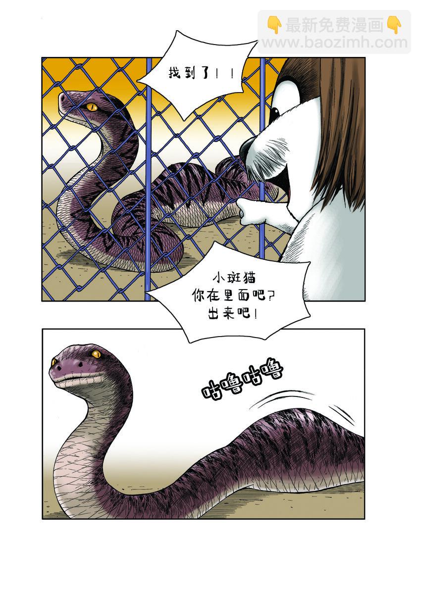 《动物园真相》第一季 第16集 捉迷藏 第8页