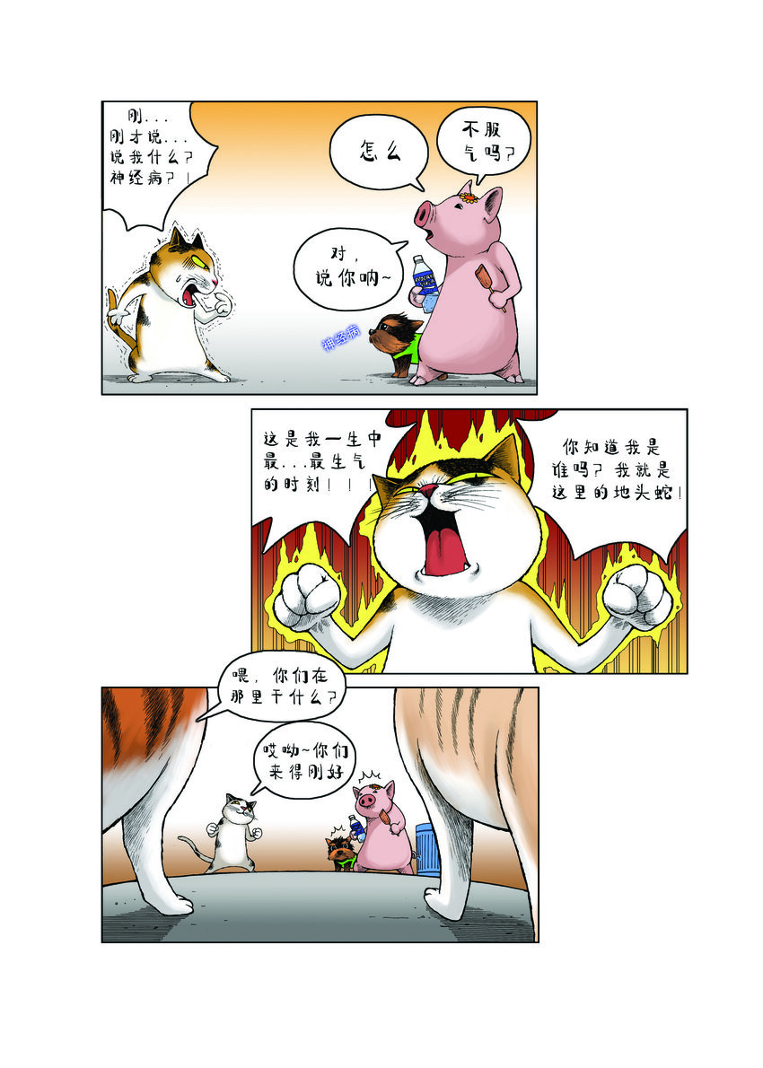 《动物园真相》第一季 第18集 远征队，出发！ 第11页