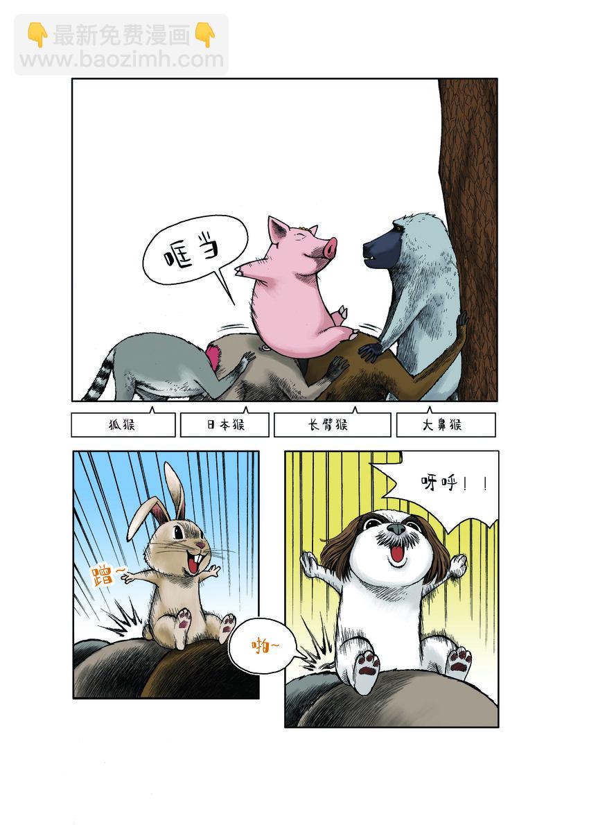 《动物园真相》第一季 第24集 骑驴游戏 第2页