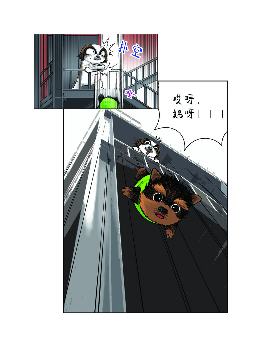 《动物园真相》第一季 第21集 千钧一发 第5页
