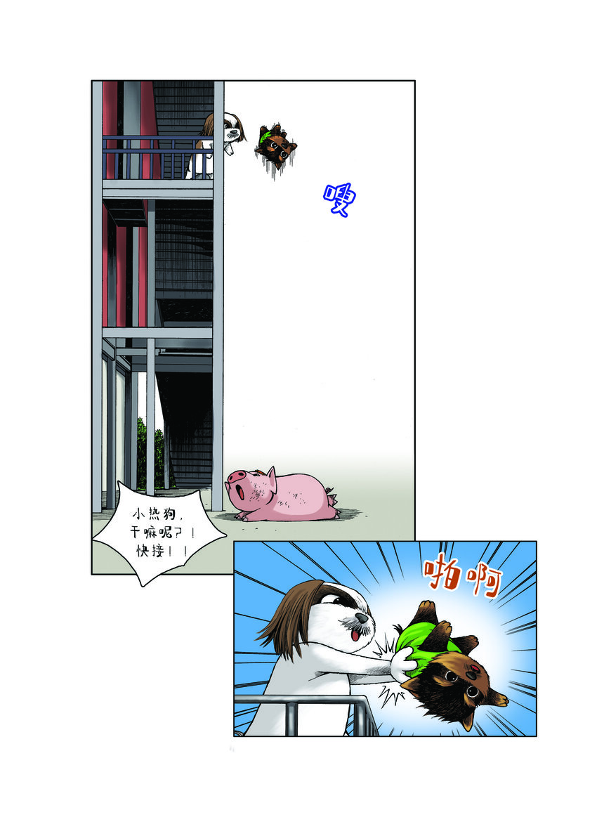 《动物园真相》第一季 第21集 千钧一发 第7页