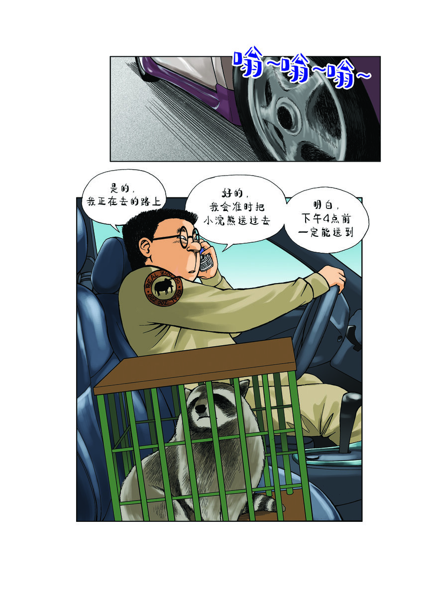 《动物园真相》第一季 第29集 会变身的浣熊 第9页