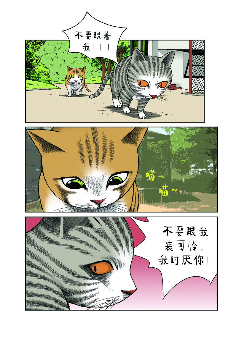 《动物园真相》第一季 第27集 复仇 第2页