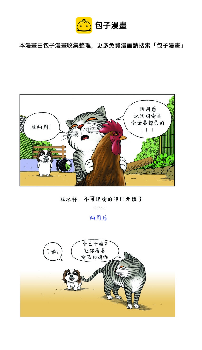 《动物园真相》第一季 第30集 身价 第10页