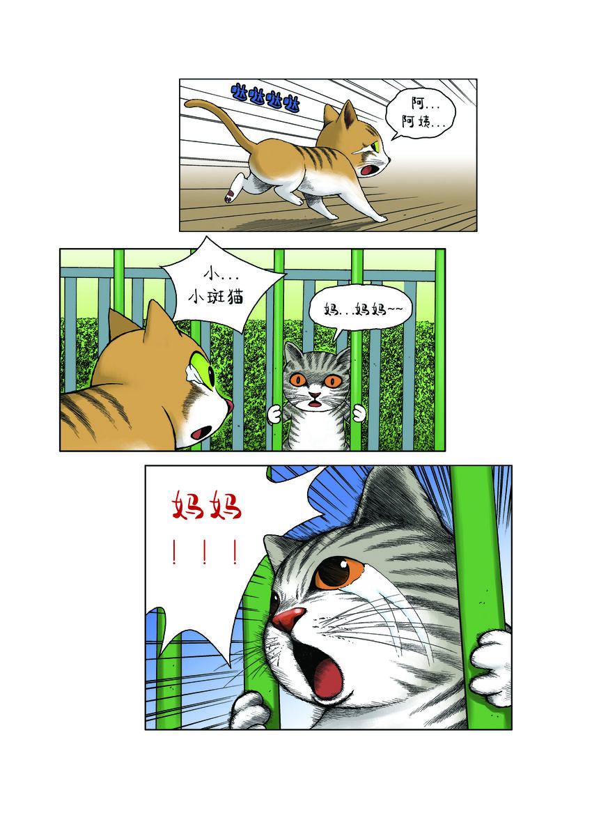 《动物园真相》第一季 第26集 牺牲 第11页