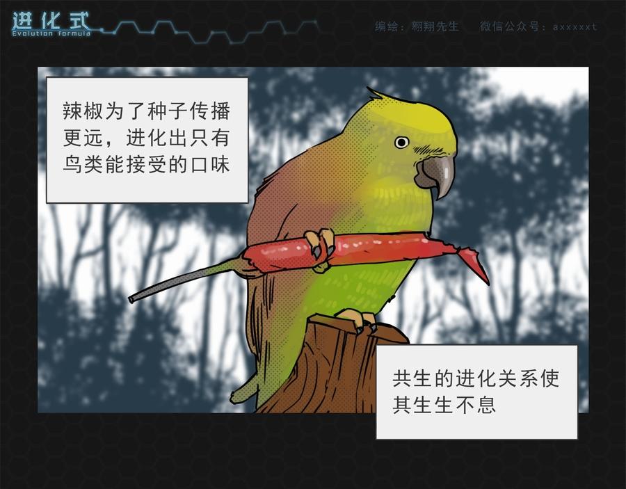 《进化式》013进化启程 第5页
