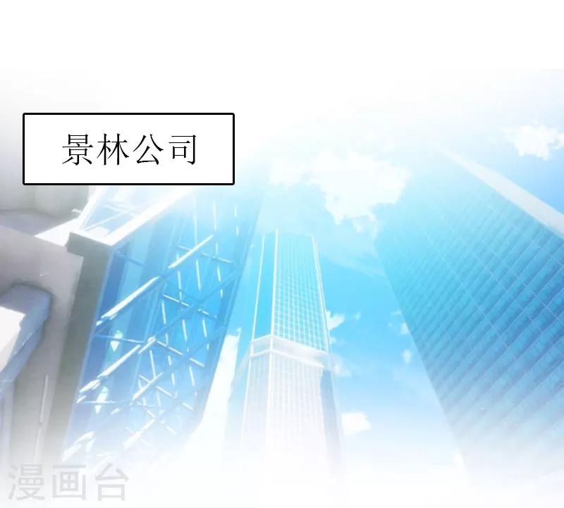 《追爱游戏无理老公太胡来》第15话 谢夫人回国 第2页